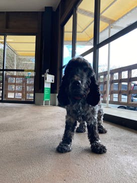 秋吉台自然動物公園 サファリランドに投稿された画像（2024/12/30）