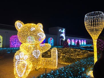 神戸イルミナージュに投稿された画像（2024/12/30）