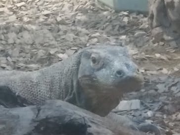 名古屋市東山動植物園に投稿された画像（2024/12/30）