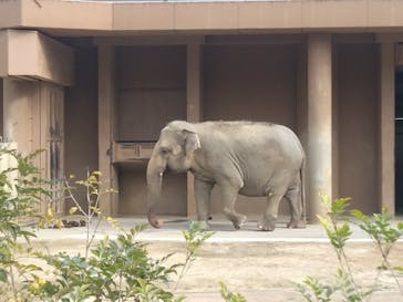 名古屋市東山動植物園に投稿された画像（2024/12/30）