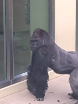 名古屋市東山動植物園に投稿された画像（2024/12/30）