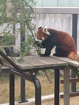 名古屋市東山動植物園に投稿された画像（2024/12/30）
