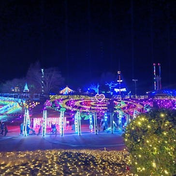 みろくの里に投稿された画像（2024/12/30）