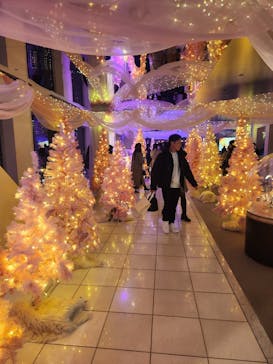 梅田スカイビル・空中庭園展望台に投稿された画像（2024/12/30）