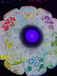 ひらかたパークに投稿された画像（2024/12/31）