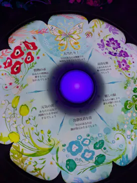 ひらかたパークに投稿された画像（2024/12/30）