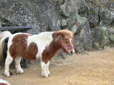 伊豆シャボテン動物公園に投稿された画像（2024/12/30）