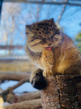 那須どうぶつ王国に投稿された画像（2024/12/30）