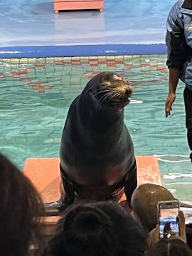 ゼロ距離水族館 伊勢シーパラダイスに投稿された画像（2024/12/30）