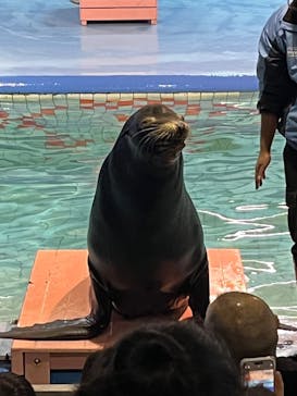 ゼロ距離水族館 伊勢シーパラダイスに投稿された画像（2024/12/30）