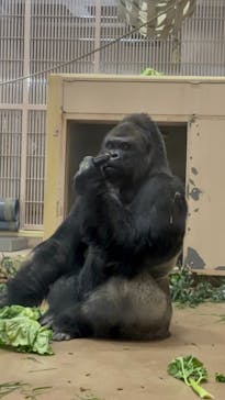 名古屋市東山動植物園に投稿された画像（2024/12/30）