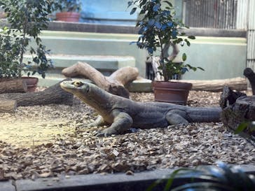 名古屋市東山動植物園に投稿された画像（2024/12/30）