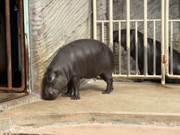 名古屋市東山動植物園に投稿された画像（2024/12/30）