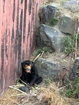 名古屋市東山動植物園に投稿された画像（2024/12/30）
