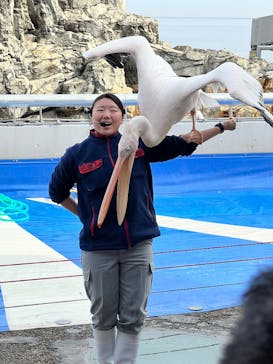 大分マリーンパレス水族館 「うみたまご」に投稿された画像（2024/12/30）
