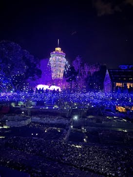 江の島シーキャンドルに投稿された画像（2024/12/30）