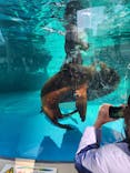 サンシャイン水族館に投稿された画像（2024/12/31）