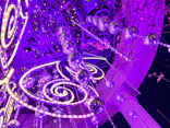 ひらかたパークに投稿された画像（2024/12/31）