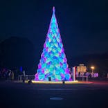 みろくの里に投稿された画像（2024/12/31）