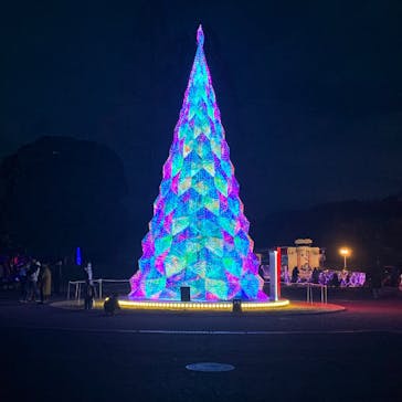 みろくの里に投稿された画像（2024/12/31）