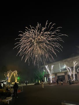 みろくの里に投稿された画像（2024/12/31）