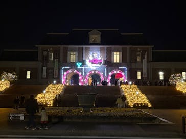 神戸イルミナージュに投稿された画像（2024/12/31）