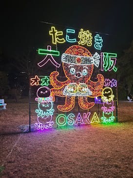 大阪城イルミナージュに投稿された画像（2024/12/31）