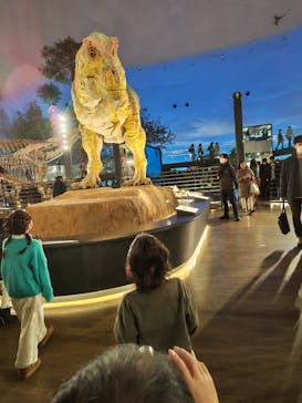 福井県立恐竜博物館に投稿された画像（2024/12/31）