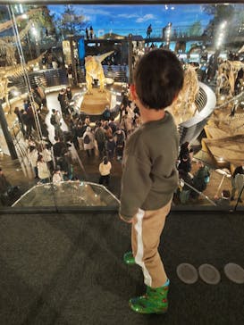 福井県立恐竜博物館に投稿された画像（2024/12/31）