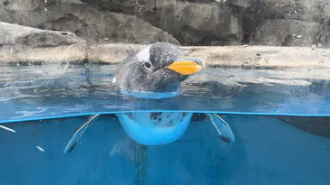 仙台うみの杜水族館に投稿された画像（2024/12/31）