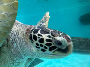 仙台うみの杜水族館に投稿された画像（2024/12/31）