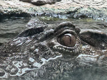 仙台うみの杜水族館に投稿された画像（2024/12/31）