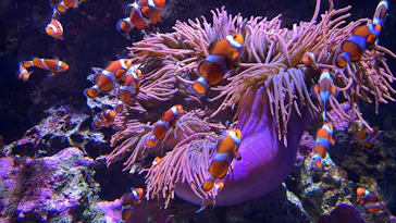 仙台うみの杜水族館に投稿された画像（2024/12/31）