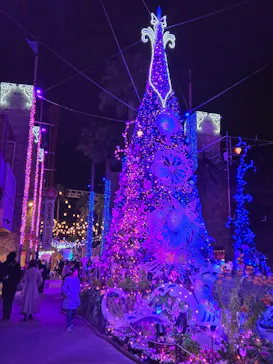 ひらかたパークに投稿された画像（2024/12/31）