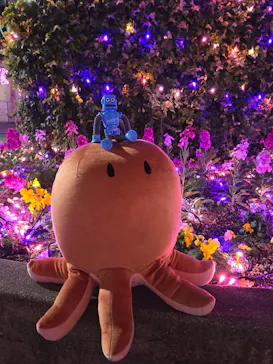 ひらかたパークに投稿された画像（2024/12/31）