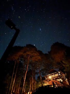 大井川鐵道株式会社に投稿された画像（2024/12/31）