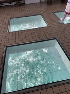 徳島県立 渦の道に投稿された画像（2024/12/31）