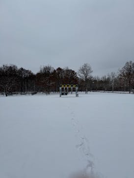 ノーザンホースパークに投稿された画像（2024/12/31）