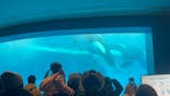 名古屋港水族館に投稿された画像（2024/12/31）