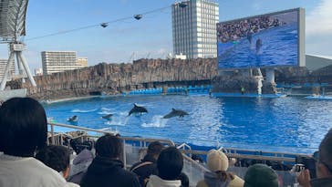名古屋港水族館に投稿された画像（2024/12/31）