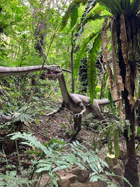 御菓子御殿　名護店　やんばる亜熱帯の森DINO恐竜PARKに投稿された画像（2024/12/31）