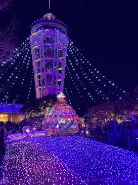 江の島シーキャンドルに投稿された画像（2024/12/31）