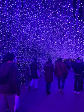 江の島シーキャンドルに投稿された画像（2024/12/31）