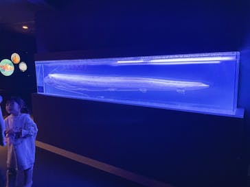 マリンワールド海の中道に投稿された画像（2024/12/31）