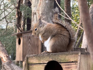 那須どうぶつ王国に投稿された画像（2024/12/31）