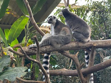 那須どうぶつ王国に投稿された画像（2024/12/31）