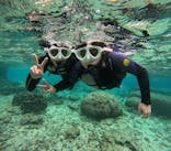 沖縄マリンサービス碧に投稿された画像（2024/12/31）