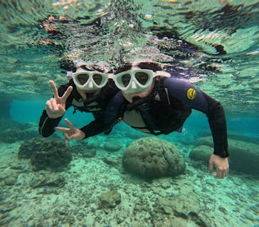 沖縄マリンサービス碧に投稿された画像（2024/12/31）