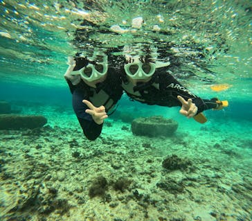 沖縄マリンサービス碧に投稿された画像（2024/12/31）