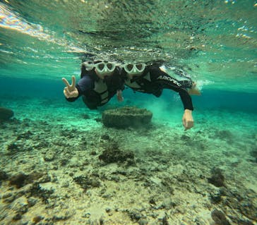 沖縄マリンサービス碧に投稿された画像（2024/12/31）